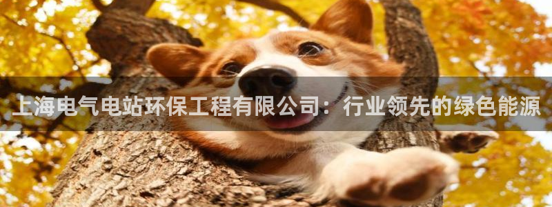 彩名堂安卓客户端官网：上海电气电站环