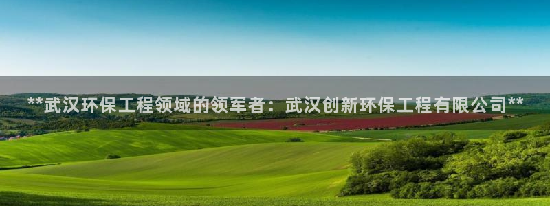 下载苹果手机版彩名堂：**武汉环保工
