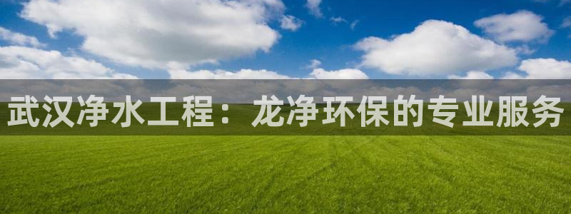 彩名堂是不是坑人的东西：武汉净水工程