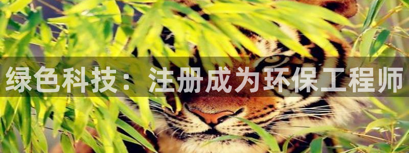 彩名堂安卓客户端官网：绿色科技：注册