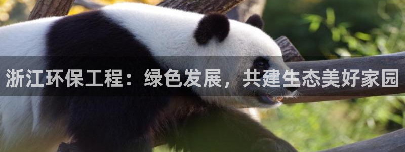彩名堂v1.0.6：浙江环保工程：绿