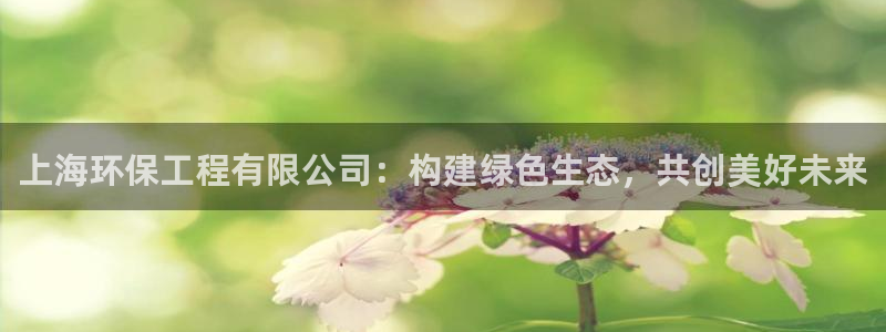 彩名堂排三：上海环保工程有限公司：构