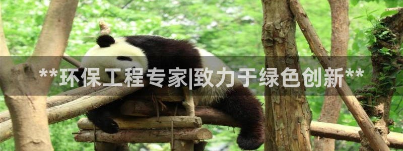 彩名堂免费计划使用方法是什么：**环