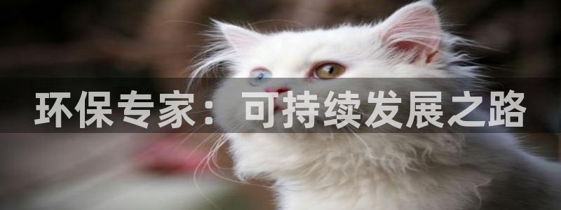 彩名堂01计划：环保专家：可持续发展
