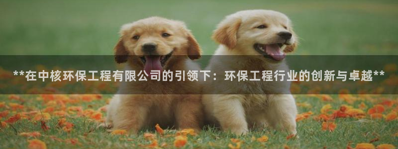 彩名堂计划官方客服：**在中核环保工