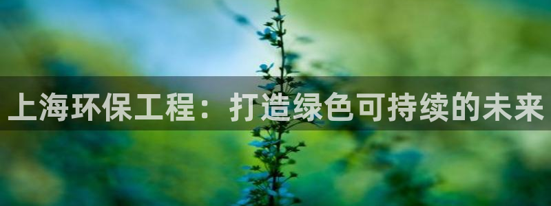 彩名堂合作655560：上海环保工程
