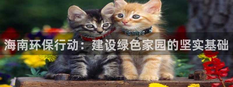 彩名堂3d：海南环保行动：建设绿色家园的坚实基础