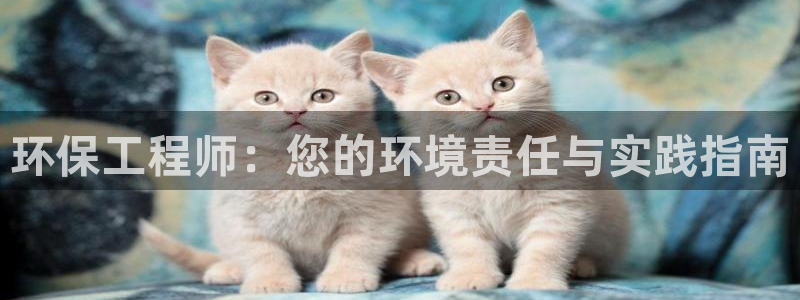 彩名堂免费计划软件下载：环保工程师：您的环境责任与实践指南