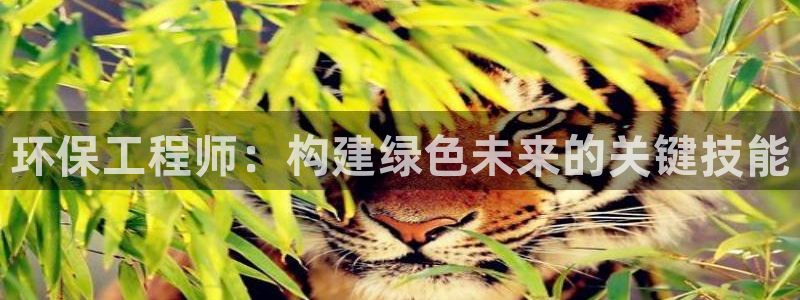 彩名堂客户端官网：环保工程师：构建绿
