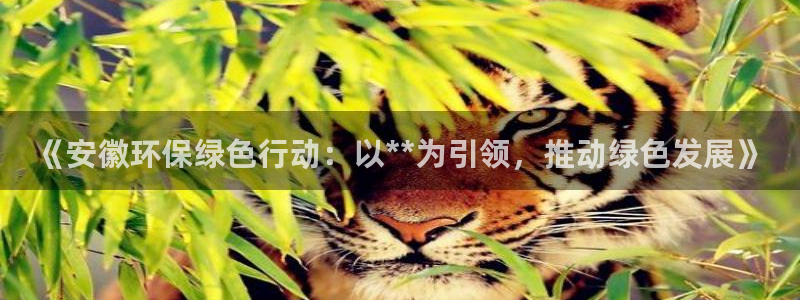 彩名堂苹果客户端：《安徽环保绿色行动：以**为引领，推动绿色