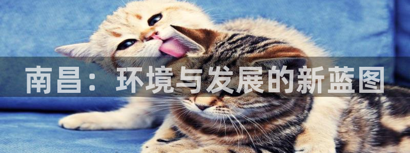 彩名堂v1.0.6：南昌：环境与发展