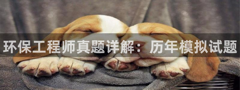 cmt彩名堂：环保工程师真题详解：历年模拟试题