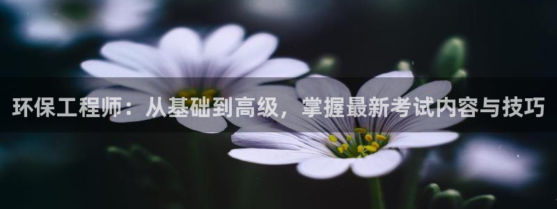 彩名堂是不是不能用了吗：环保工程师：从基础到高级，掌握最新考