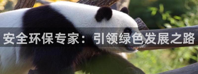 彩名堂怎么不能用了：安全环保专家：引领绿色发展之路