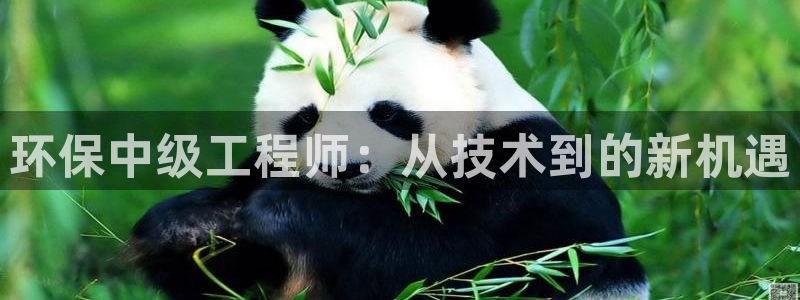 彩名堂拼音怎么拼：环保中级工程师：从