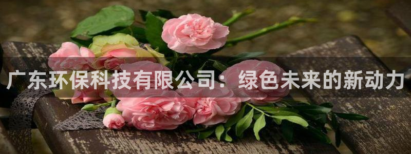彩名堂计划最新版手机版：广东环保科技