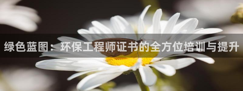 彩名堂计划技巧有哪些：绿色蓝图：环保