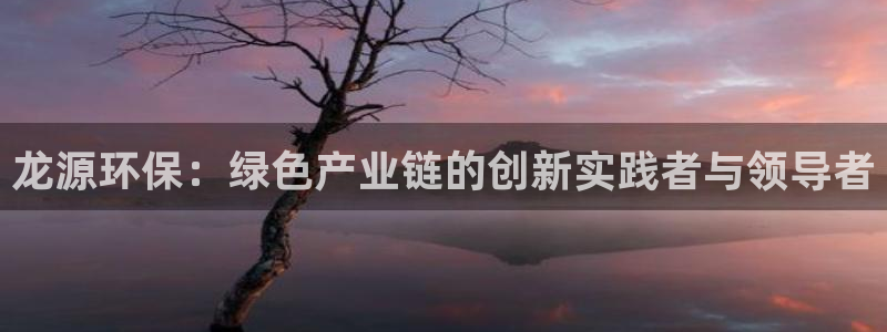 彩名堂计划怎么跟不挂：龙源环保：绿色