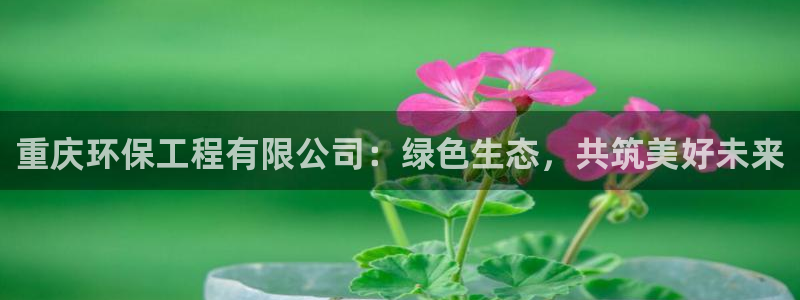 彩名堂客服：重庆环保工程有限公司：绿