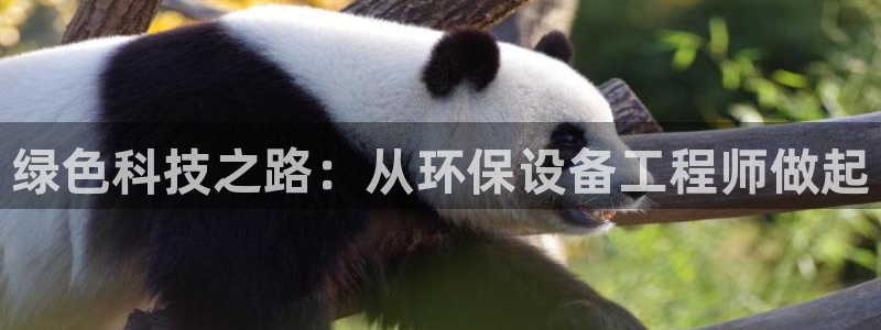 彩名堂人工计划怎么找不到下载了?：绿