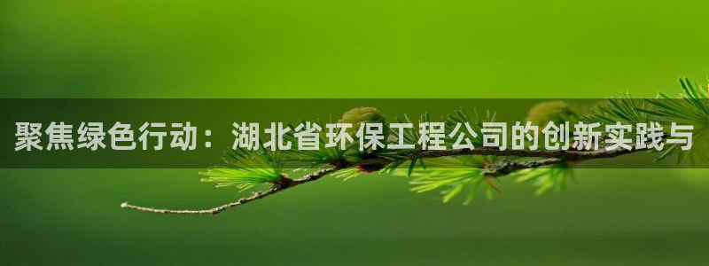 彩名堂app官方网：聚焦绿色行动：湖北省环保工程公司的创新实