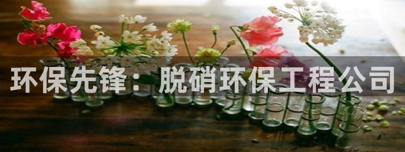 彩名堂一直不出结果怎么回事：环保先锋：脱硝环保工程公司