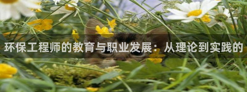 彩名堂移动客户端官网：环保工程师的教育与职业发展：从理论到实