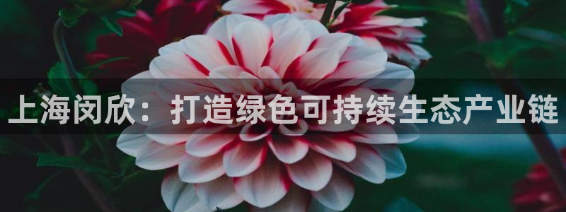 彩名堂客服电话号码：上海闵欣：打造绿色可持续生态产业链