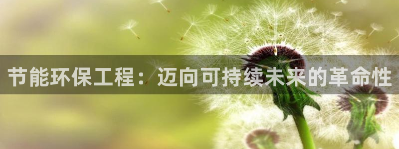 彩名堂.apk：节能环保工程：迈向可持续未来的革命性