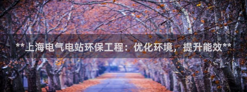 彩名堂怎么不能用了：**上海电气电站