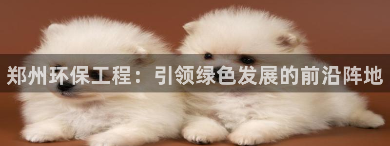 彩名堂人工计划客户端：郑州环保工程：引领绿色发展的前沿阵地