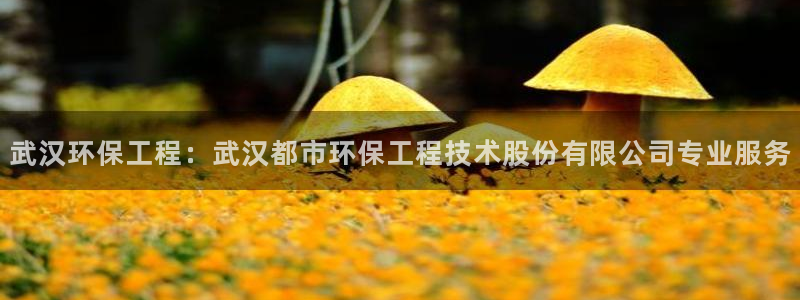 彩名堂免费计划5.0使用方法是什么：