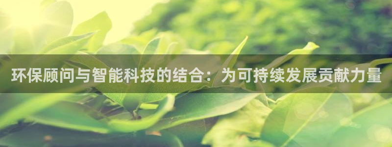 彩名堂为什么突然不能用了：环保顾问与
