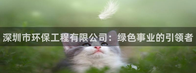 彩名堂网页：深圳市环保工程有限公司：