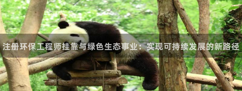 彩名堂5.0!：注册环保工程师挂靠与