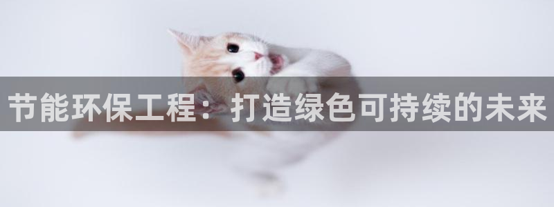 彩名堂好用还是千里马好用：节能环保工