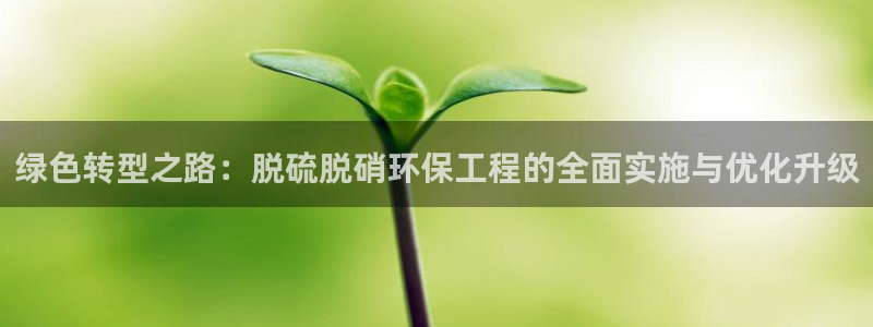 彩名堂官网网页计划：绿色转型之路：脱
