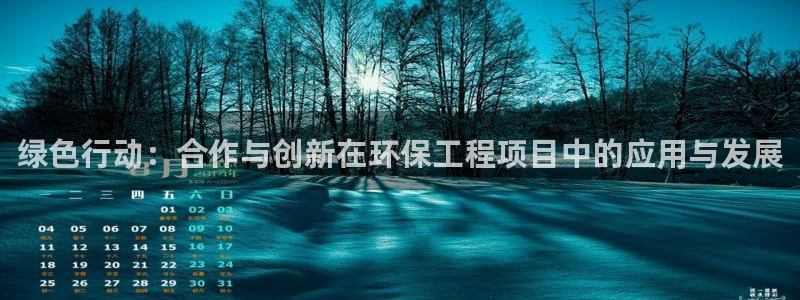 彩名堂为什么打不开：绿色行动：合作与