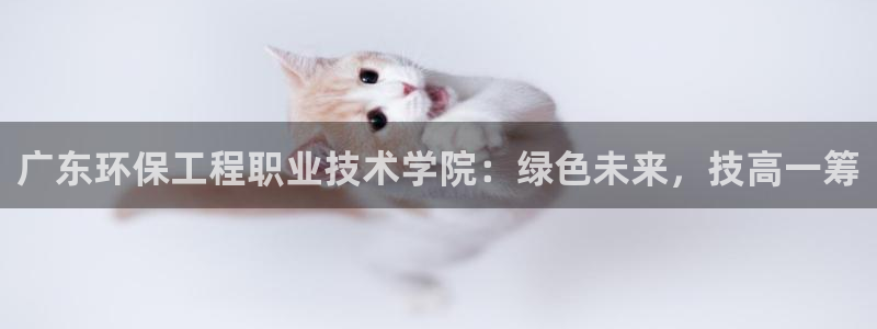 彩名堂5.0版计划怎么用不了：广东环