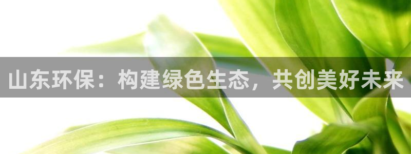 正规彩名堂官网计划：山东环保：构建绿