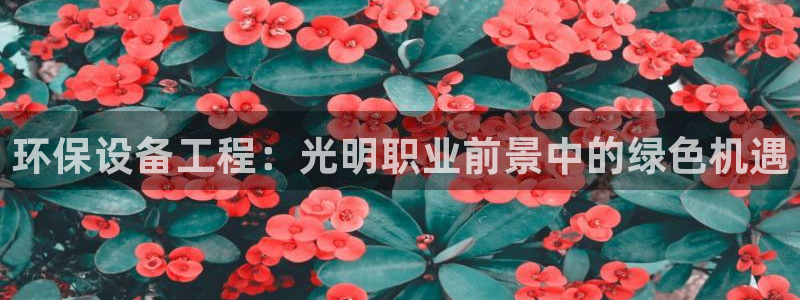 彩名堂官网网页计划：环保设备工程：光