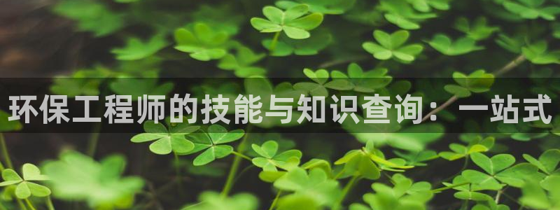 彩名堂是什么：环保工程师的技能与知识