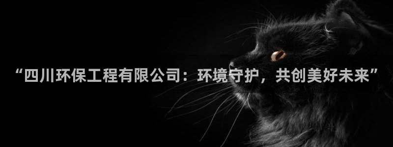 彩名堂免费计划亮点：“四川环保工程有