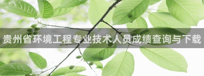 彩名堂预测免费计划怎么看的：贵州省环境工程专业技术人员成绩查