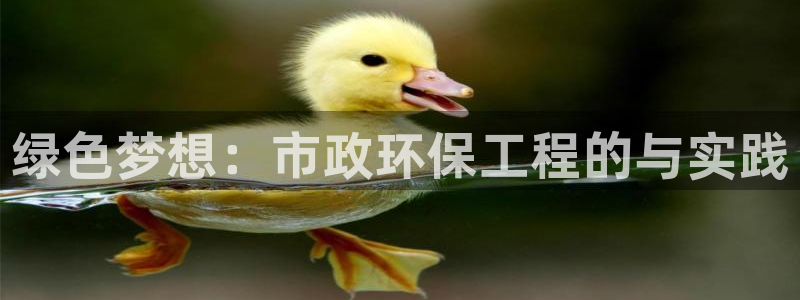 彩名堂计划app新版：绿色梦想：市政环保工程的与实践