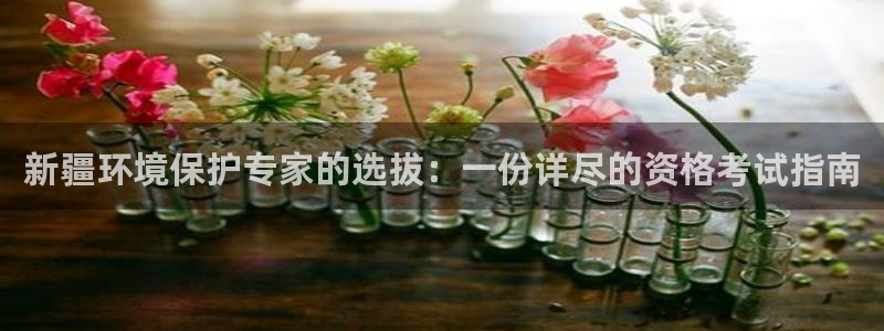 彩名堂好用还是千里马好用一点：新疆环境保护专家的选拔：一份详