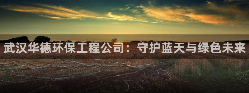 彩名堂安卓客户端官网下载安装：武汉华德环保工程公司：守护蓝天