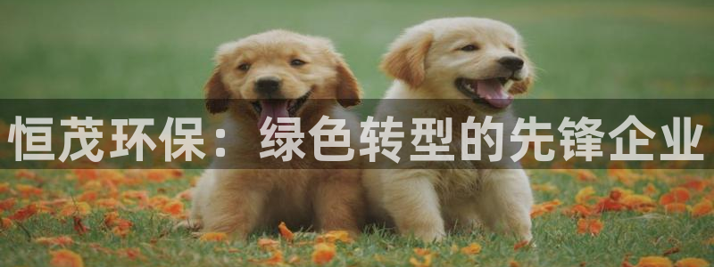 彩名堂app官方网址是多少：恒茂环保：绿色转型的先锋企业