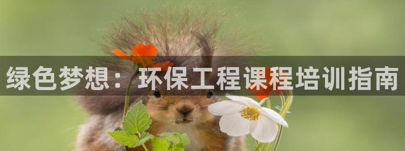 彩名堂为啥不准了乱变：绿色梦想：环保工程课程培训指南