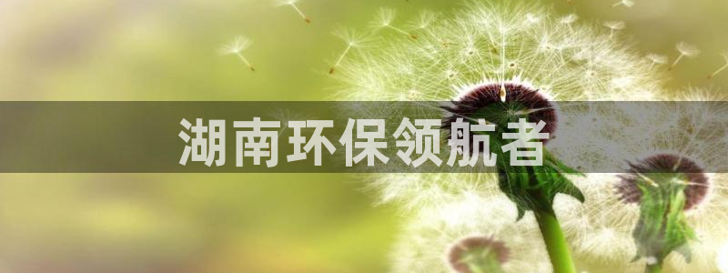 彩名堂预测计划：湖南环保领航者